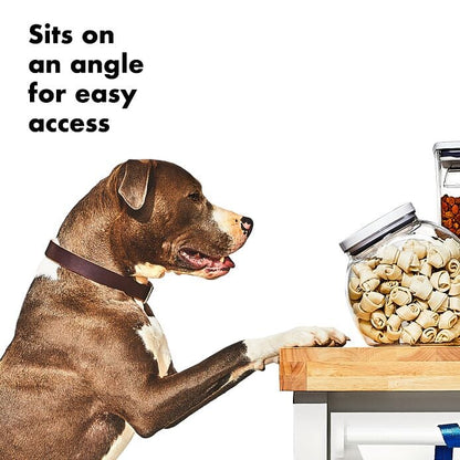 OXO Good Grips Pet POP Container – 3.0 Qt/2.8 L - US 5238