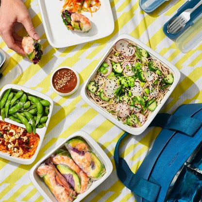 20-Piece Prep & Go Container Set - US 1360